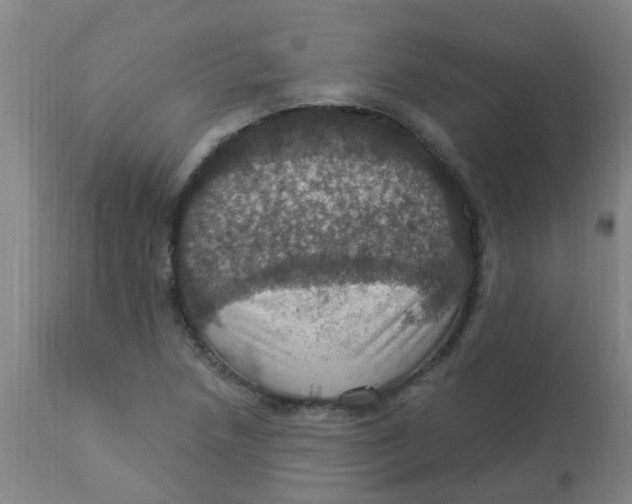 X0000113231218200910081358