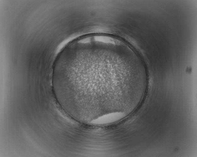 X0000113231222200910081358