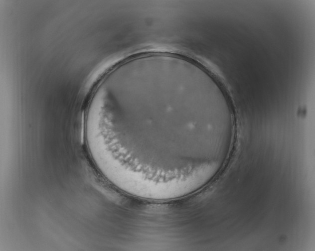 X0000113231223200910081358