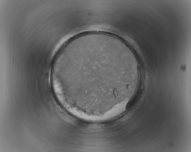 X0000113231224200910081358