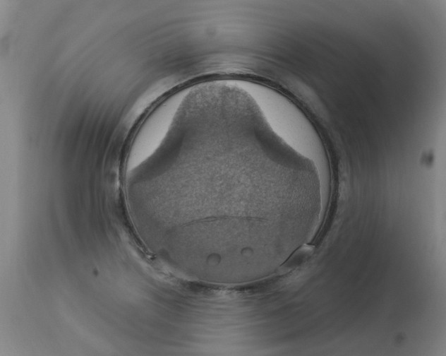 X0000113231226200910081358