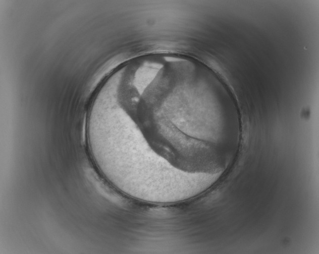 X0000113231227200910081358