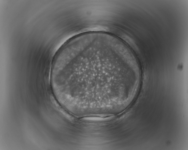 X0000113231228200910081358