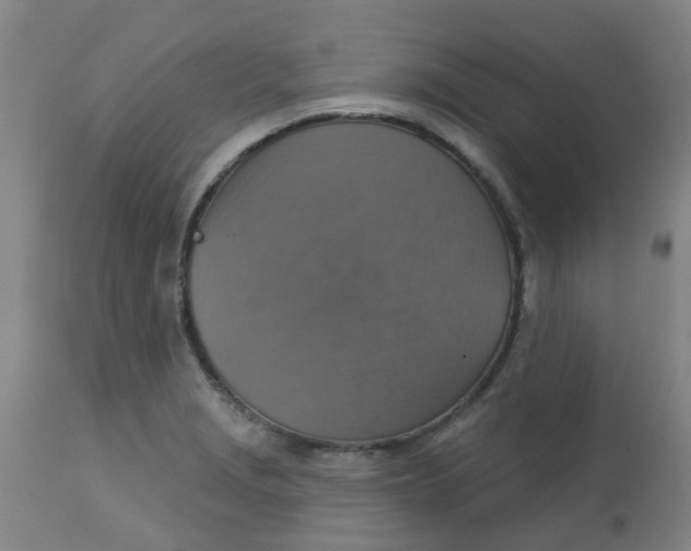 X0000113231229200910081358