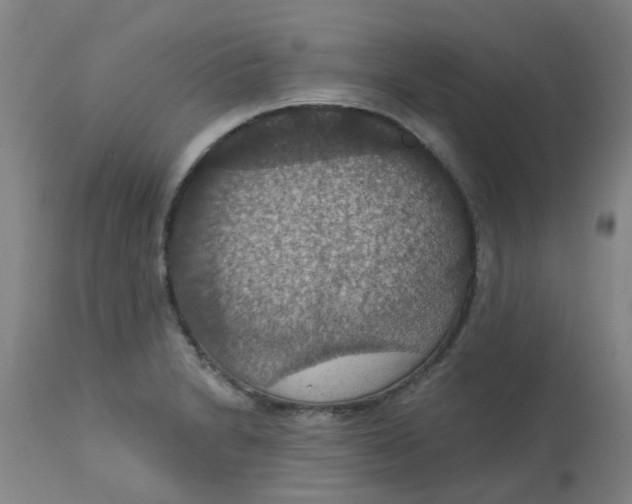 X0000113231230200910081358