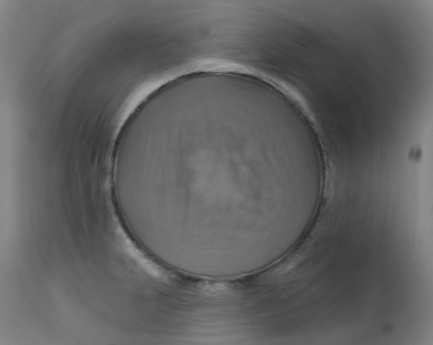 X0000113231231200910081358