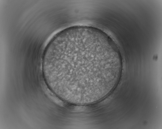 X0000113231232200910081358