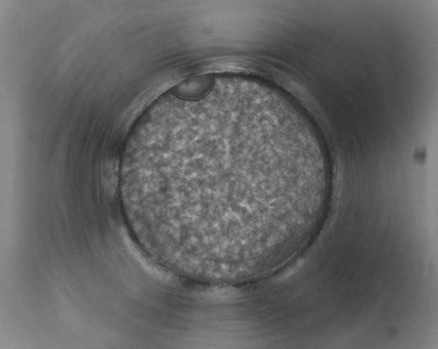 X0000113231233200910081358