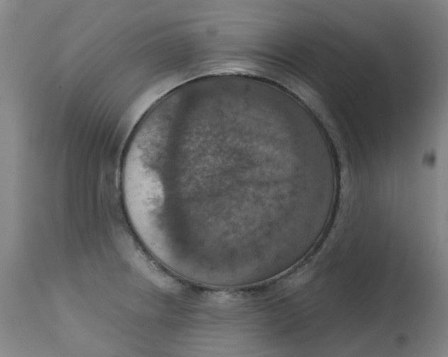 X0000113231234200910081358