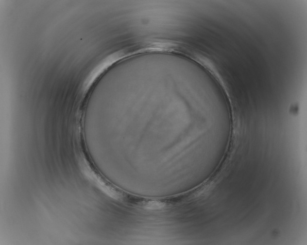 X0000113231235200910081358