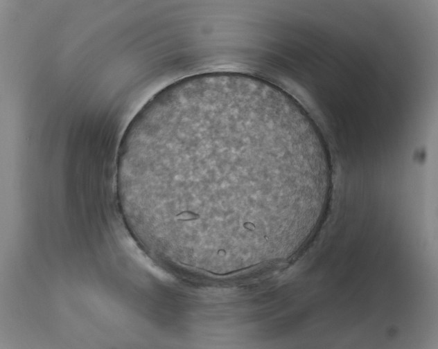 X0000113231236200910081358