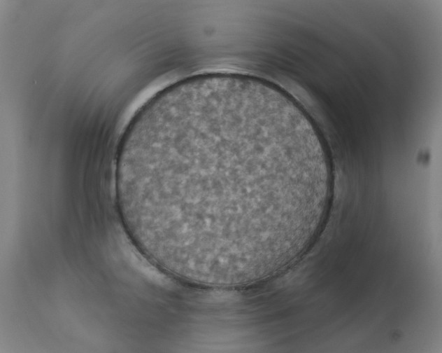 X0000113231238200910081358