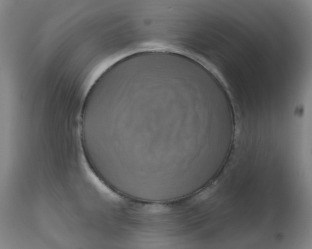 X0000113231239200910081358