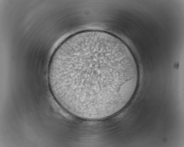 X0000113231240200910081358