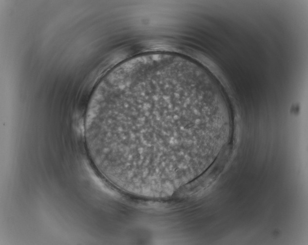 X0000113231241200910081358