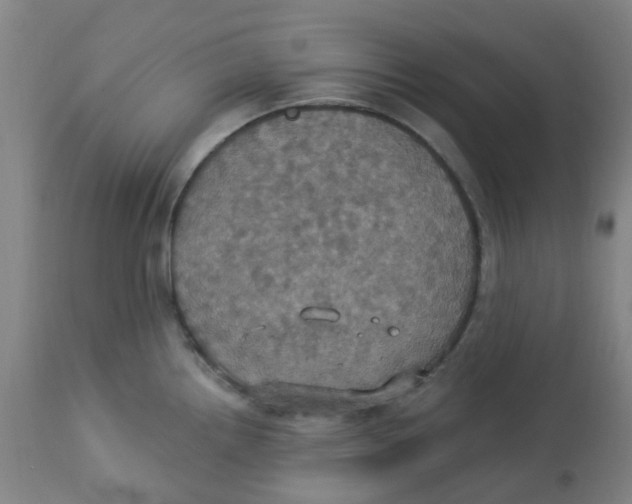 X0000113231242200910081358