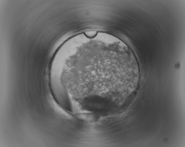 X0000113231243200910081358