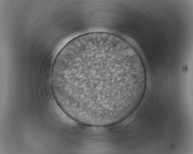 X0000113231244200910081358