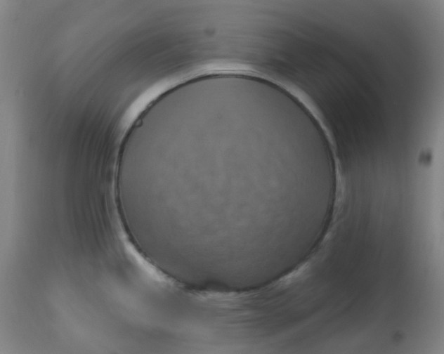 X0000113231245200910081358