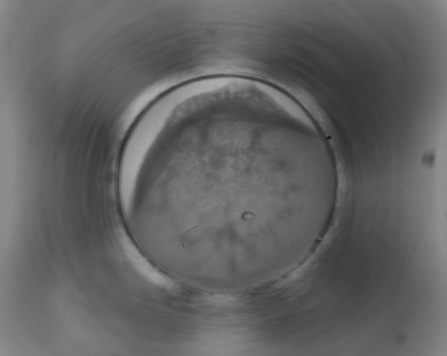 X0000113231246200910081358