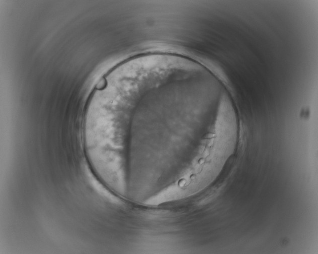 X0000113231247200910081358