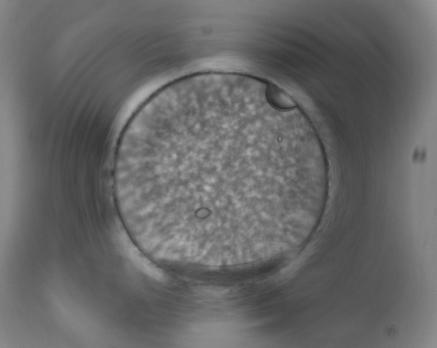 X0000113231248200910081358