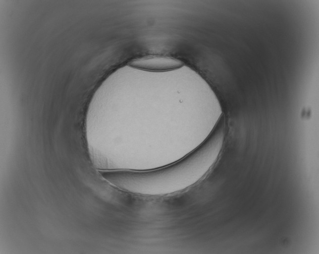 X0000113231249200910081357