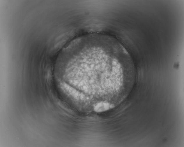 X0000113231250200910081357