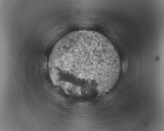 X0000113231251200910081357