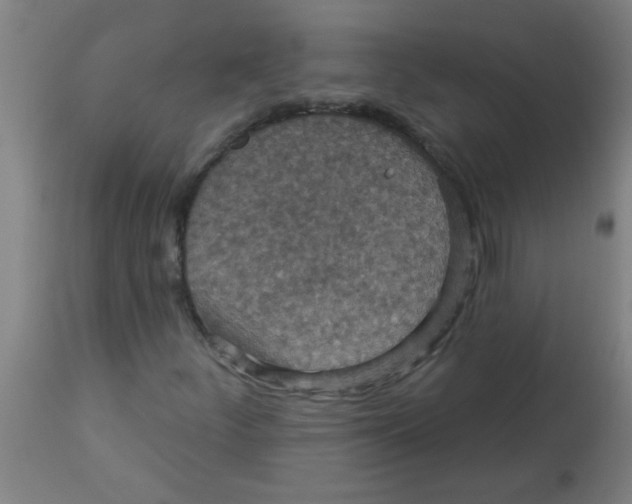 X0000113231252200910081357