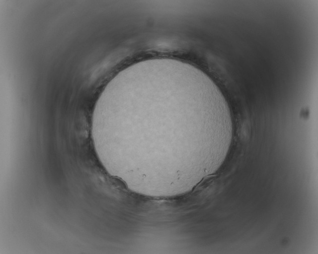 X0000113231253200910081357