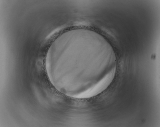 X0000113231254200910081357