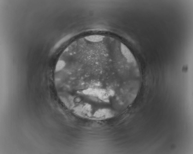 X0000113231255200910081357