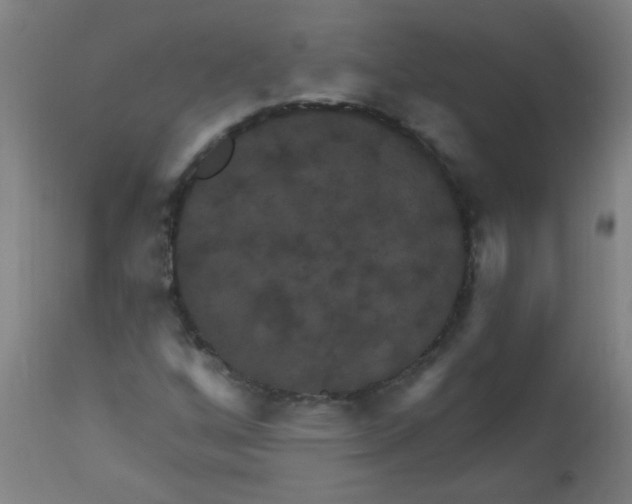 X0000113231256200910081357