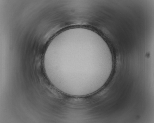 X0000113231257200910081357