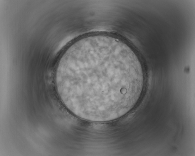 X0000113231258200910081357