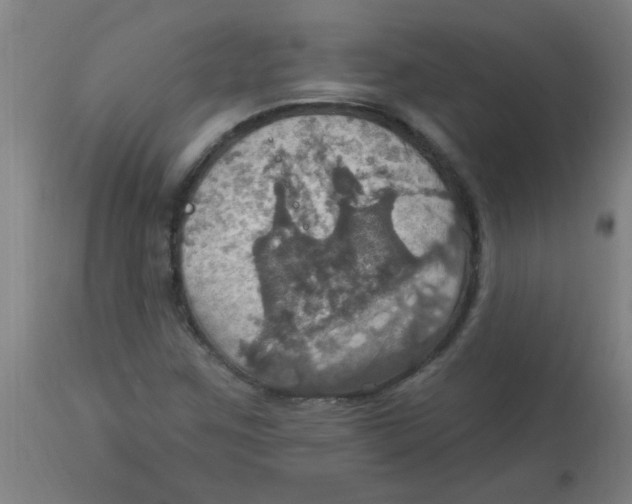 X0000113231259200910081357