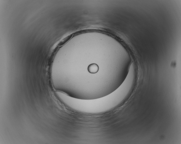 X0000113231260200910081357