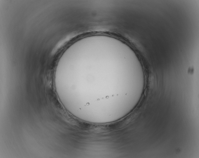 X0000113231262200910081357