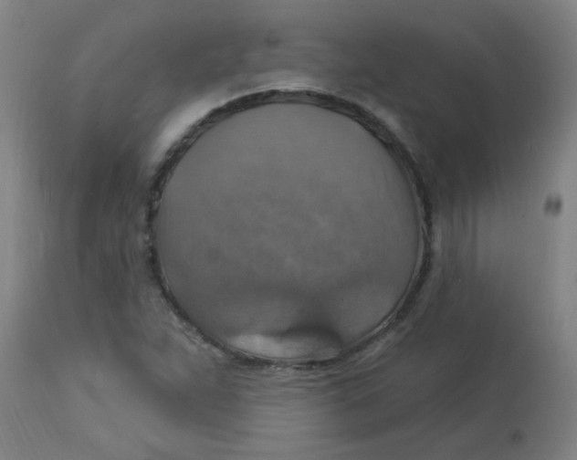 X0000113231263200910081357