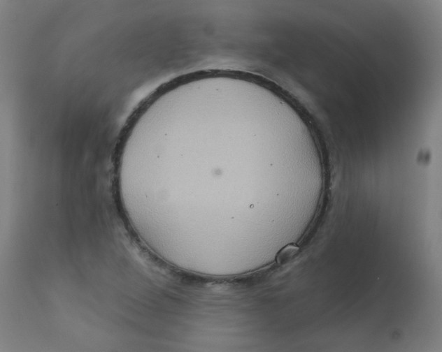 X0000113231264200910081357