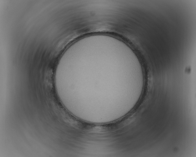 X0000113231265200910081357