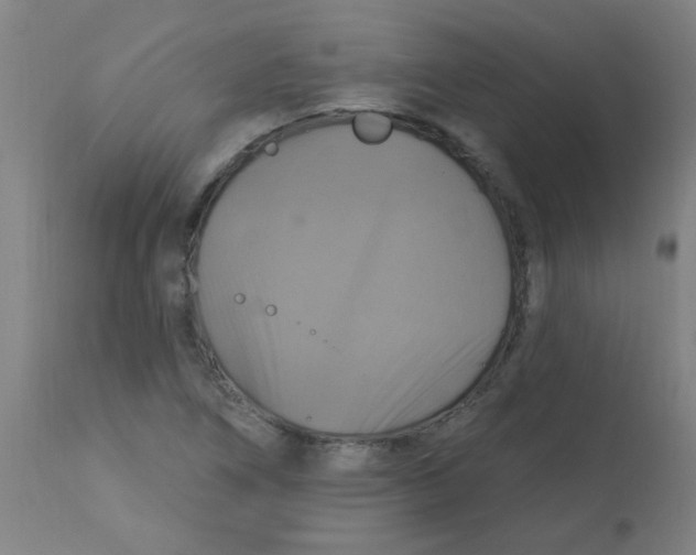 X0000113231266200910081357