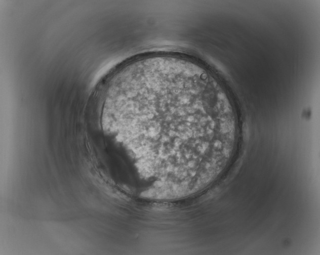 X0000113231267200910081357