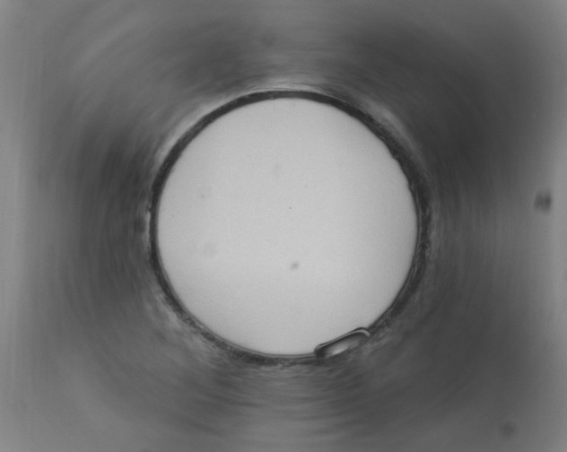 X0000113231268200910081357