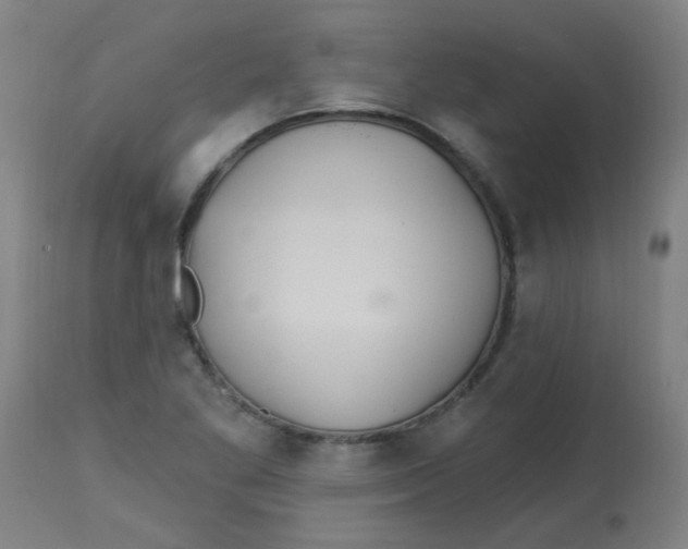 X0000113231269200910081357