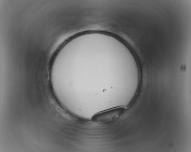 X0000113231270200910081357