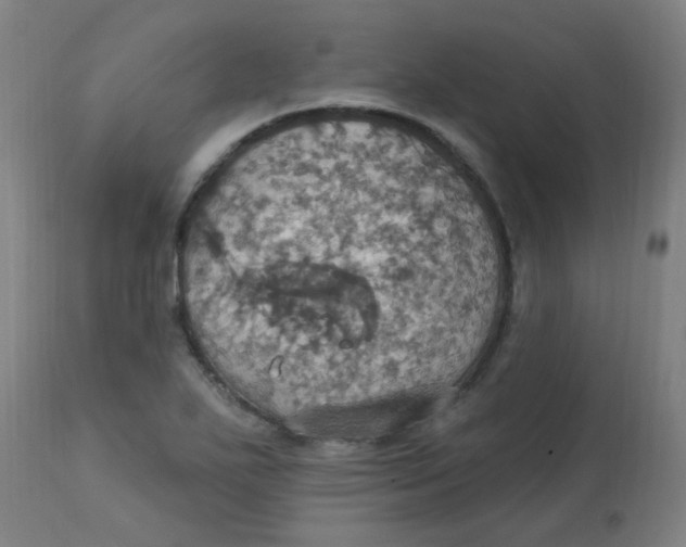 X0000113231271200910081357