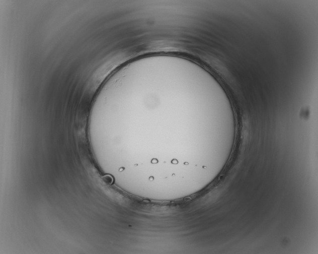 X0000113231273200910081357