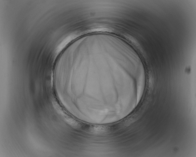 X0000113231274200910081357